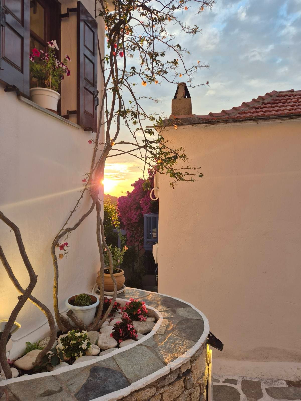 Flowers and a stone wall in a lane in Alonissos at sunset