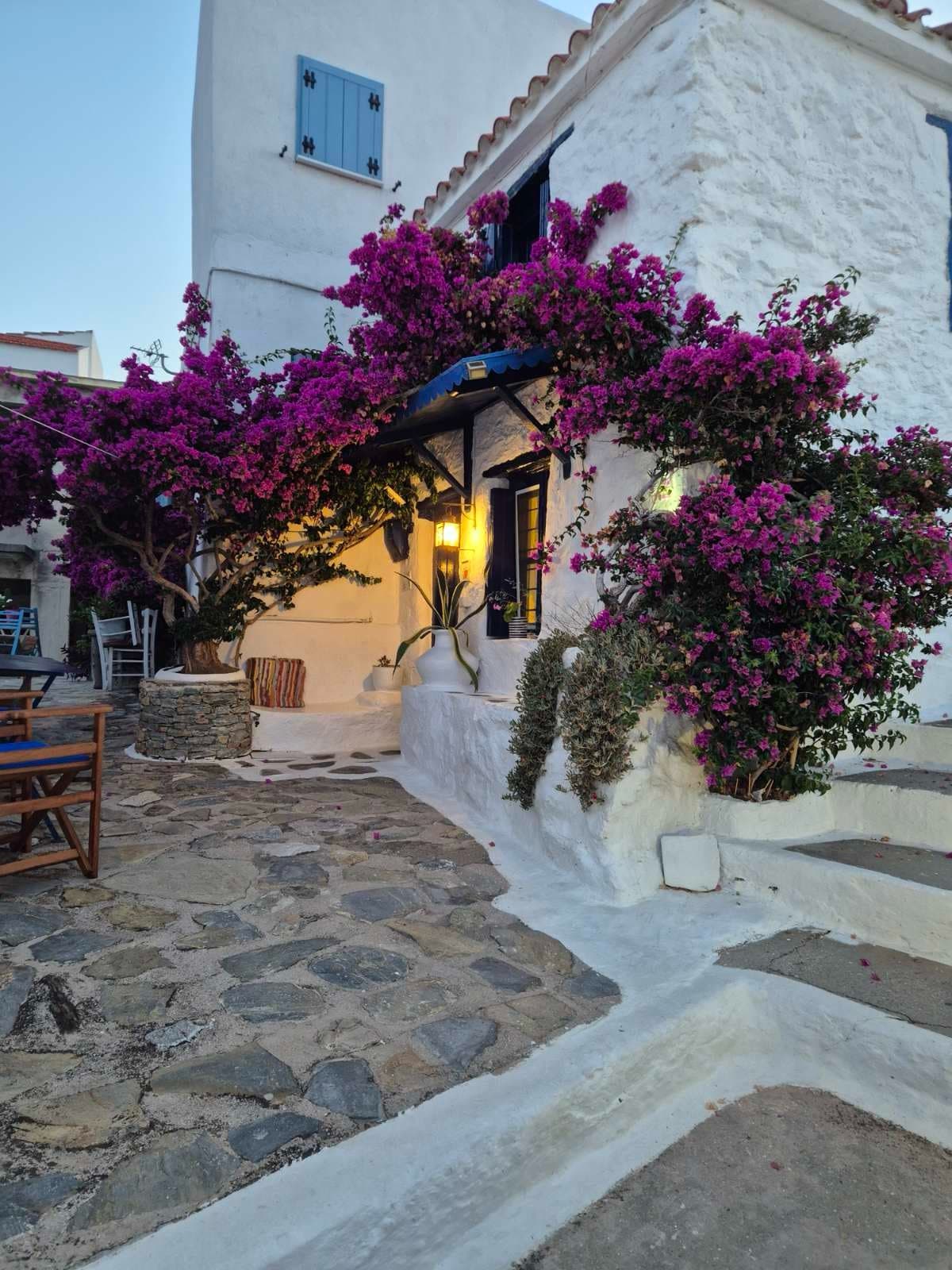 Bougainvillea and white houses on a lane in an island village