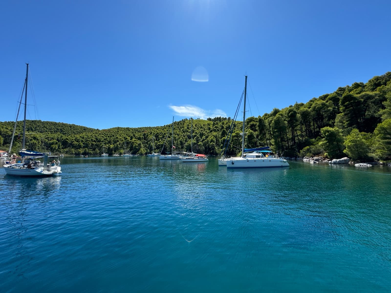 Sailing yachts at anchor in a calm bay below pine forest